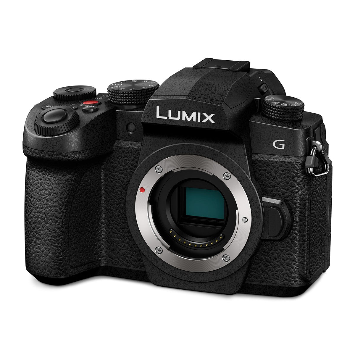 Panasonic LUMIX G97 Mirrorless Camera with LUMIX G Vario 12-60mm f/3.5-5.6 Asphe